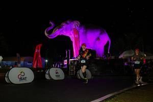 BIB: 
                            <button type="button" onclick="openModal(26543426)" class="btn btn-primary btn-sm float-right btn-popup" data-toggle="modal" data-target=".modal-high-quality">
                        <i class="fas fa-shopping-cart"></i> Add to Cart
                    </button>
                                            <button type="button" onclick="isThisMe(26543426, true)" class="btn btn-success btn-sm float-right btn-popup btn-isme hidden" data-toggle="tooltip" data-placement="bottom" title="นี่คือรูปของคุณใช่ไหม คลิกที่นี่เพื่อเอาเข้าอัลบั้ม">
                        <i class="fas fa-plus"></i> Add to album
                    </button>
                    <button type="button" onclick="isThisMe(26543426, false)" class="btn btn-warning btn-sm float-right btn-popup btn-isnotme hidden">
                        <i class="fas fa-ban"></i> Remove from album
                    </button>